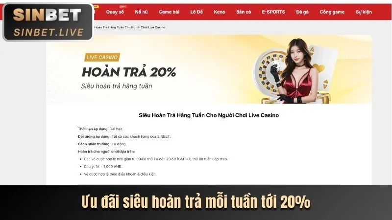 Hoàn trả cược đá gà hàng tuần